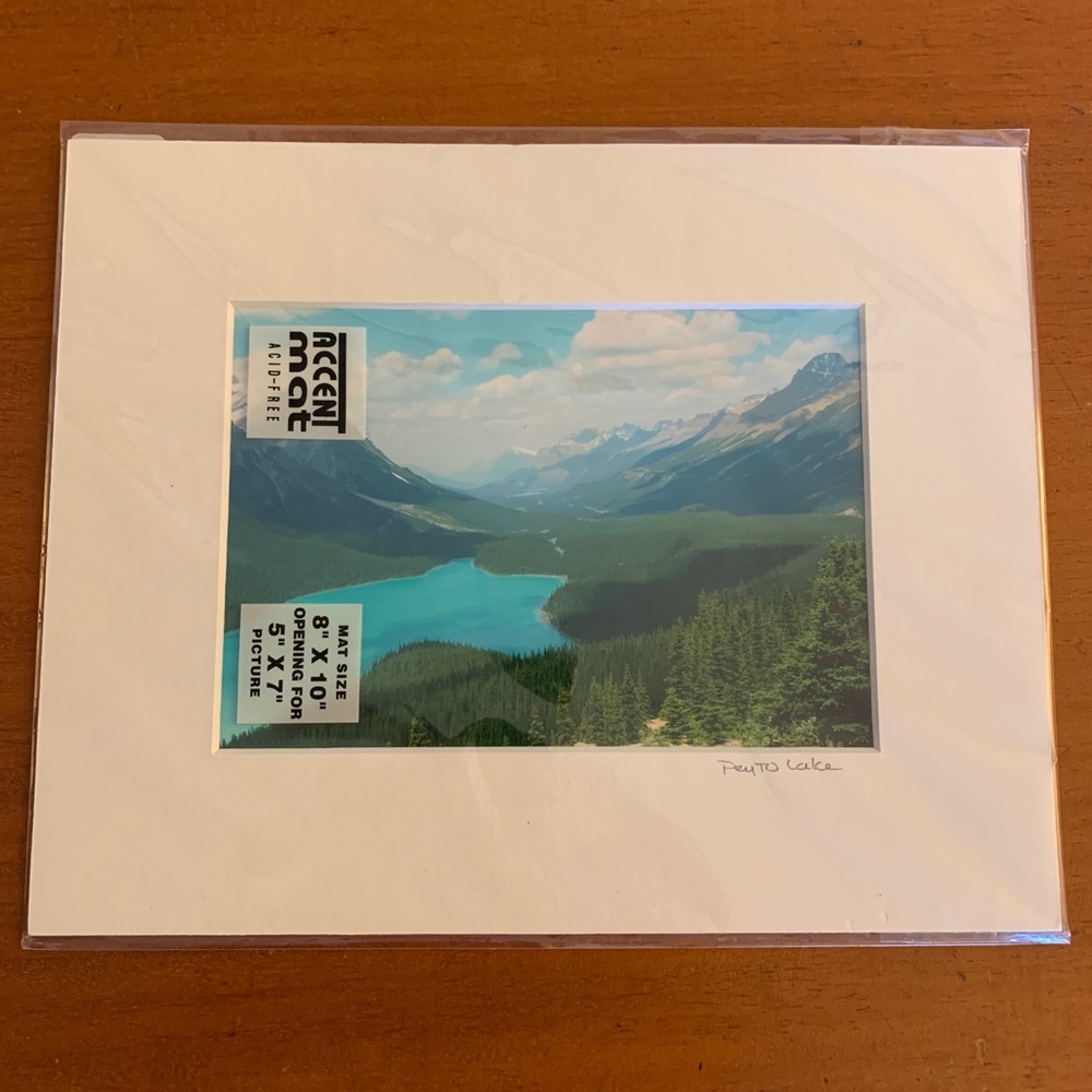 3/$20 Photograph Peyto Lake